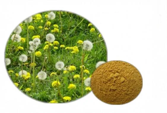 

60 pcs/120lpcs Dandelion 250mg li~ver Detox Water Retention Skin
