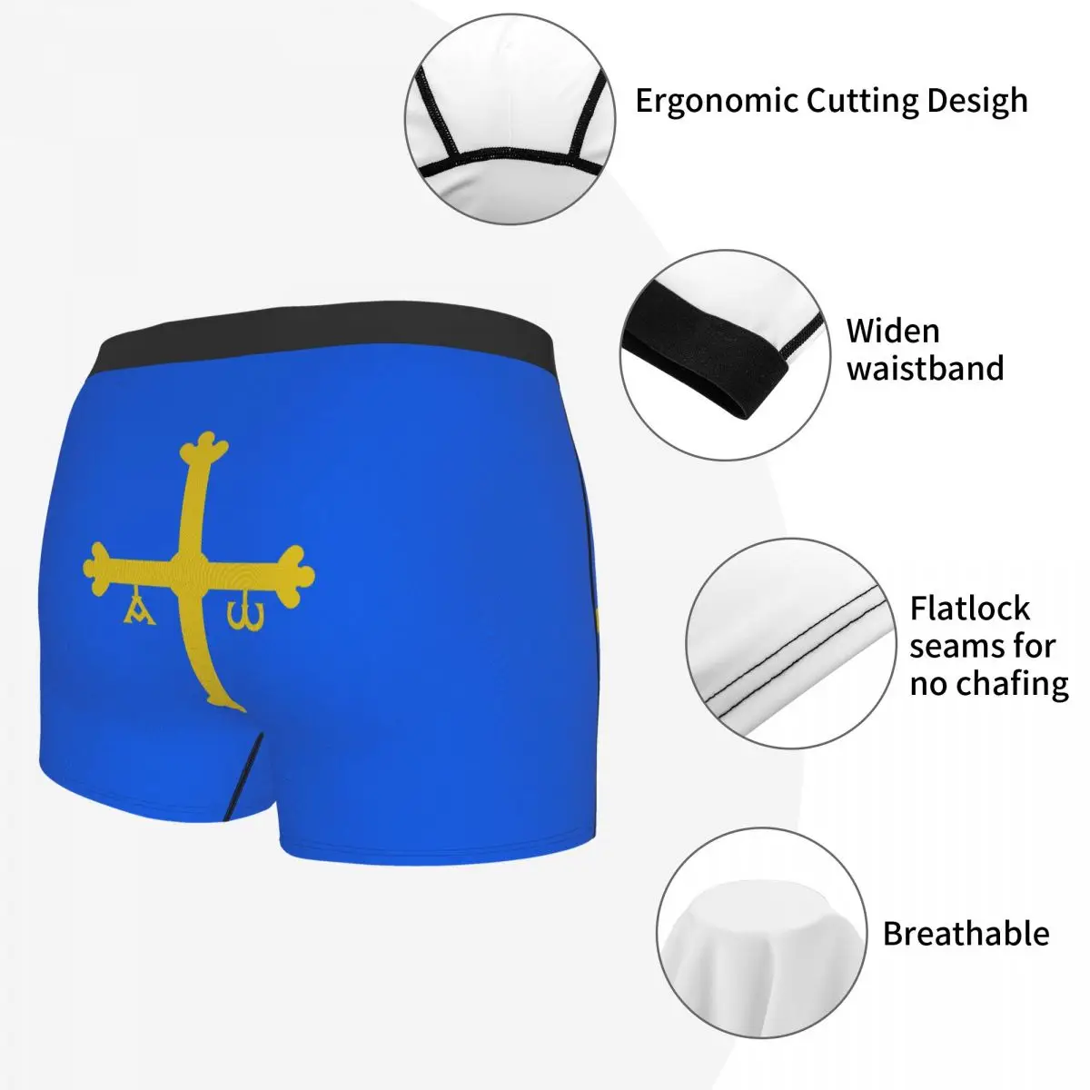 Flag Of Asturias Men's Boxer Briefs Flags of the autonomous communities of Spain Humor Graphic Men's boxer leggings