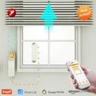 Шторы мотор ZigBee Tuya Smart DIY моторизованный цепные роликовые шторы оттенок затвора двигатель приведенный в действие Панели солнечные и Зарядное устройство