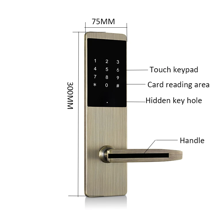 

China manufacturer password and key biometric smart card door lock