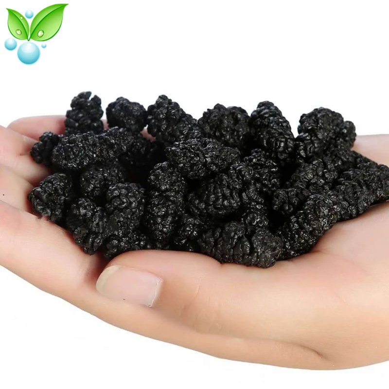 

Dried Mulberries,Dried Organic Black Mulberries,Sang Shen Zi,Organic Sun Dried Black Mulberries,Quality Dried Mulberry Fruit