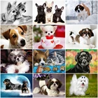 Масляная краска AZQSD для самостоятельного раскрашивания по номерам, акриловая краска для собак, Раскрашивание по номерам, холст, животное, ручная роспись, подарочные наборы