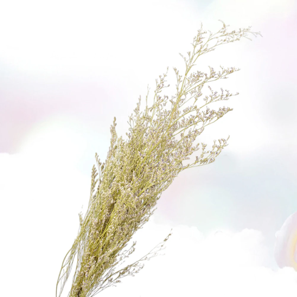 15 шт. искусственные растения в пасторальном стиле|Искусственные и сухие цветы| |