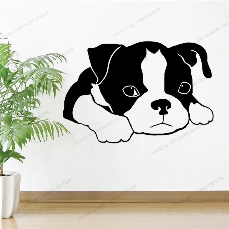 

Виниловая наклейка для ухода за домашними животными CX64