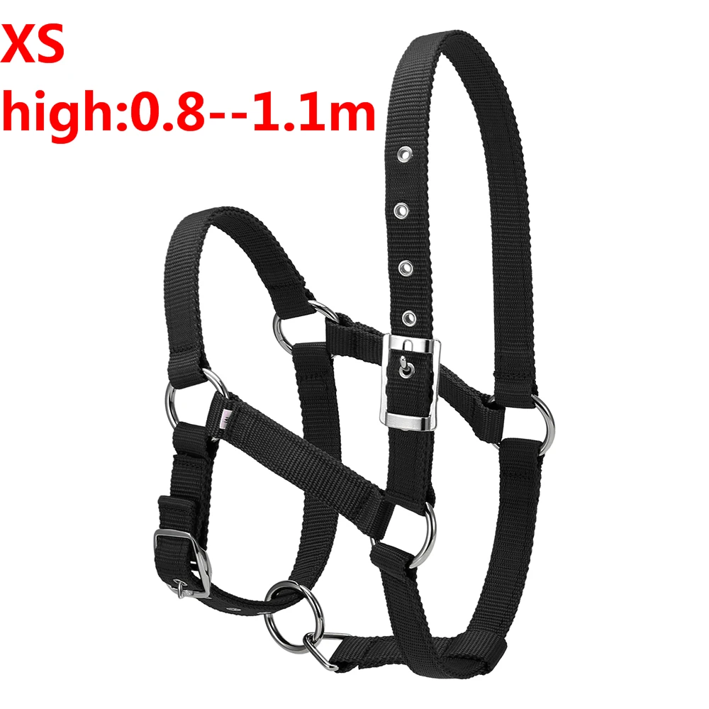 balck XS S/M/L 6 мм утолщенный ошейник для головы лошади, регулируемый безопасный ошейник с завязкой на шее, ошейник для верховой езды, оборудование для гонок, тренировочная веревка, горячая распродажа - Цвет: balck XS