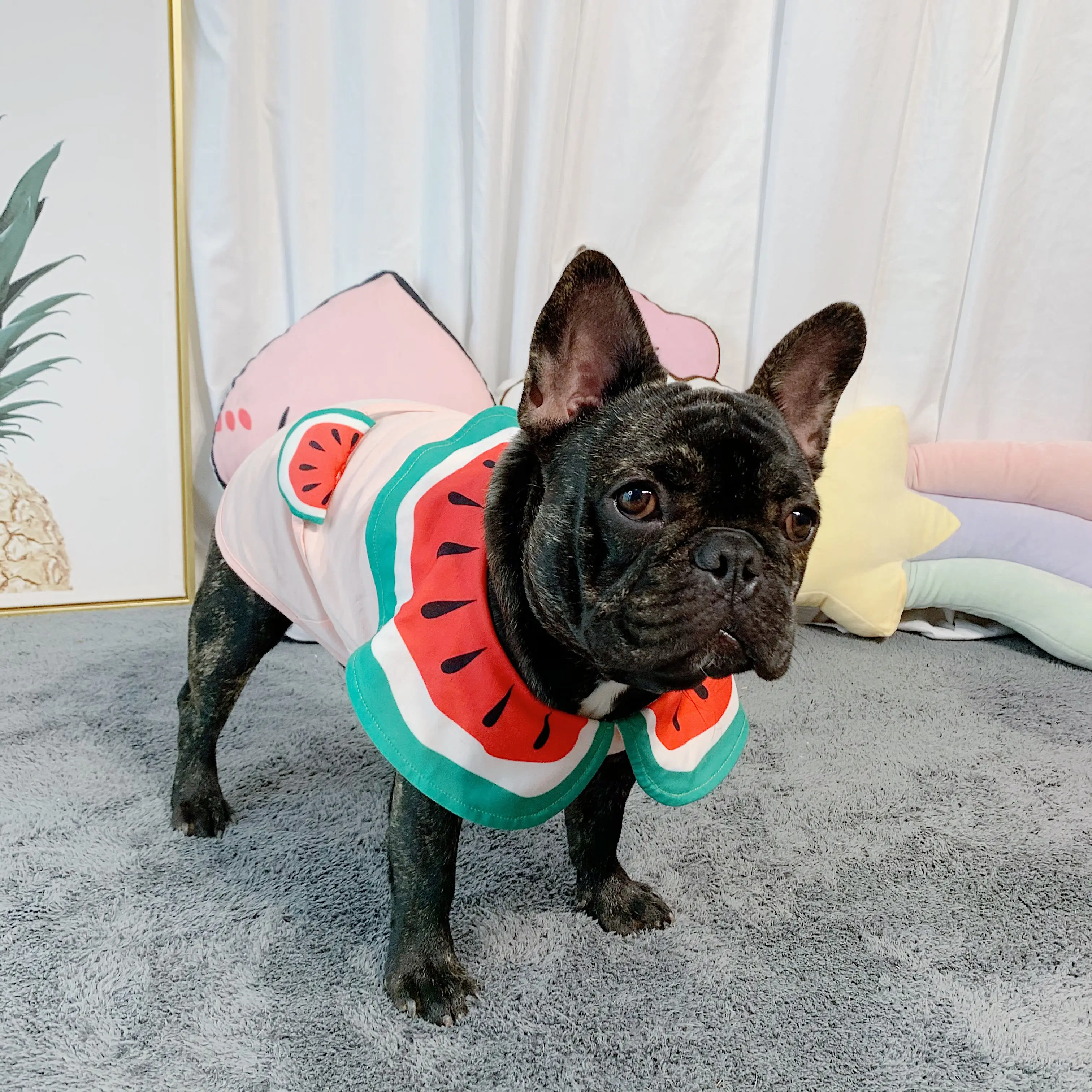 

Costume Dog Clothes Pet Clothing Windproof Suit Accessories Cat Sweater Dog Products Ropa Para Mascotas Dog Supplies JJ60GWY