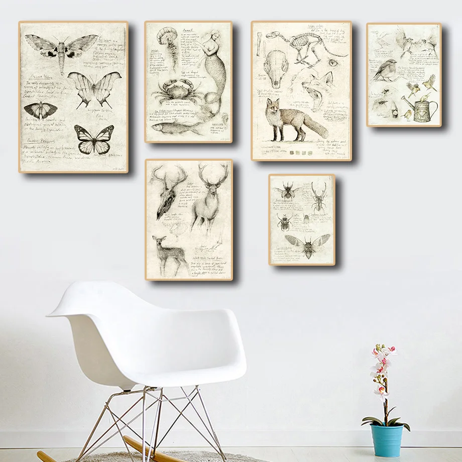

Vintage Butterfly Deer Whale Canvas Painting Sea Wild Animals Skull Skeleton Studies Poster Laboratory Institute Room Decor