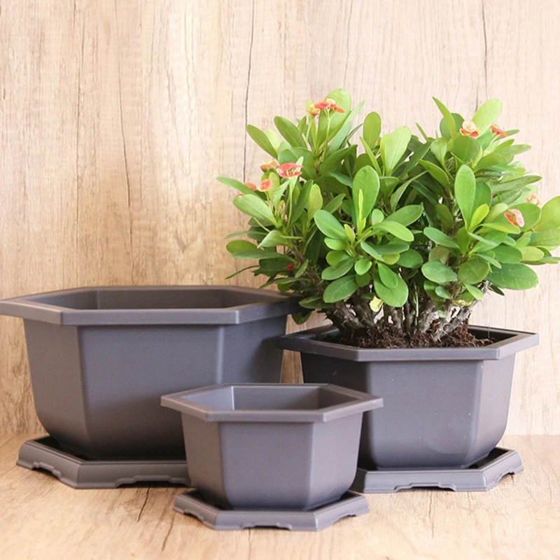 

Small Hexagonal Planters with Drainage Hole and Tray for Any House Plants, Cactus, Flowers or Herbs