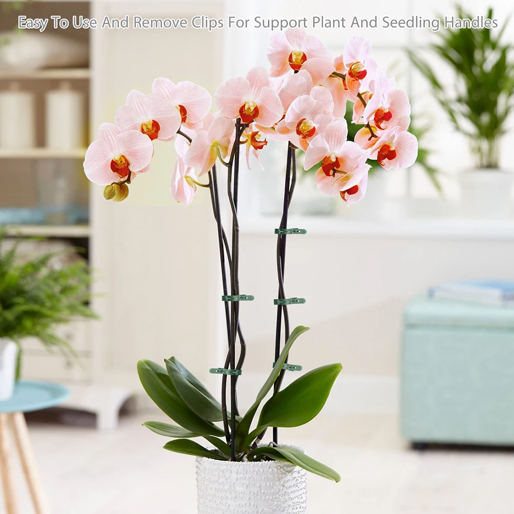 20 шт. многоразовый кронштейн для теплицы фиксированный зажим опора стебля