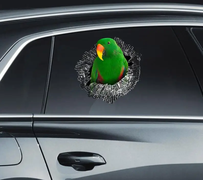 

Eclectus roratus sticker Car sticker Eclectus parrot decal Glass sticker Green parrot Funny sticker Vinyl stickers Planner