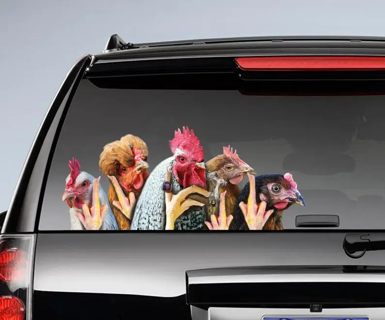 

2021 Funny chickens window decal , chicken car sticker, funny rooster sticker
