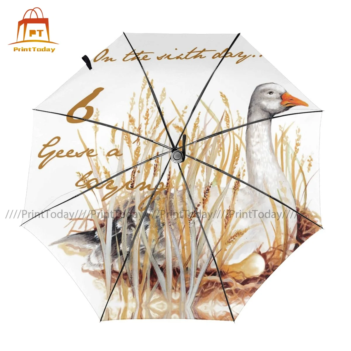 

Goose Umbrella Auto UV Protection Umbrella Cheap Painting Outside Folding Umbrella