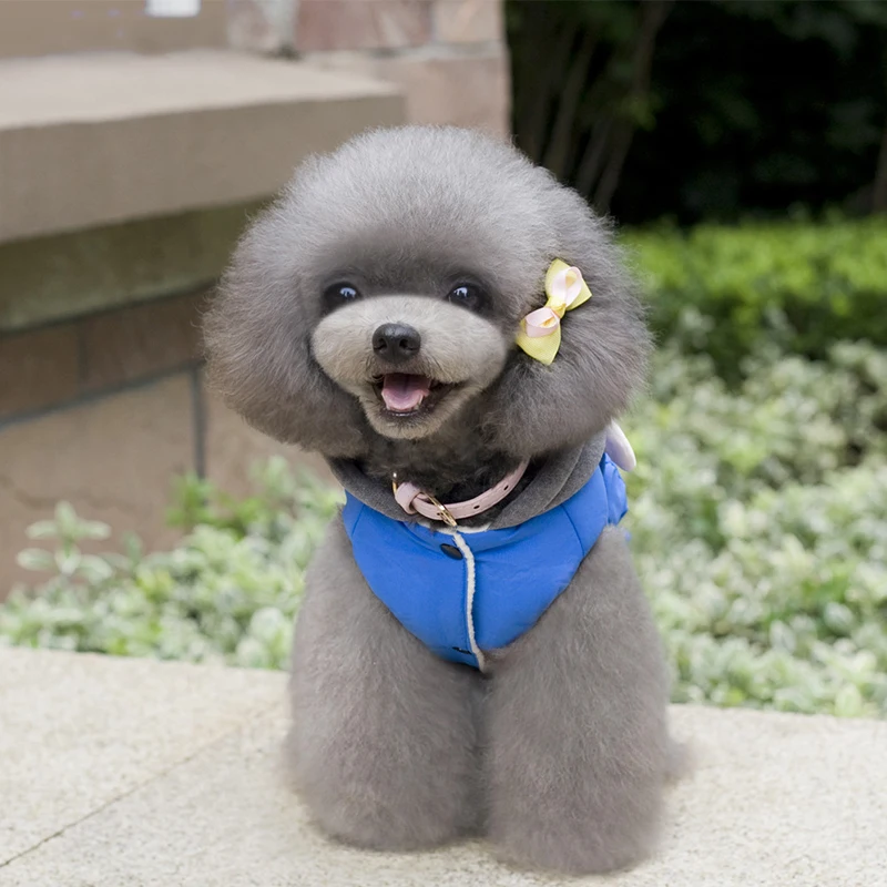 Осенне-зимнее пальто для собак хлопковая одежда в виде обезьяны щенков