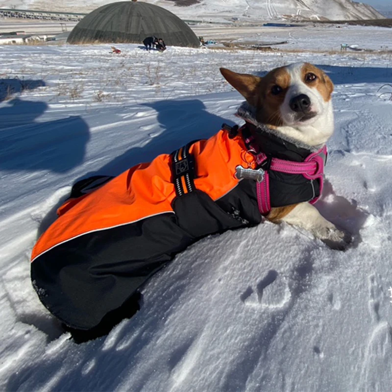 Зимнее пальто для собак Truelove уличная водонепроницаемая одежда куртка зимний