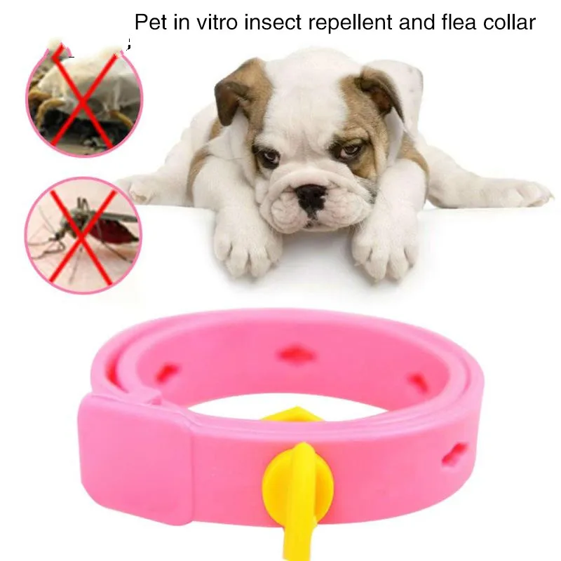 1 шт. пластиковый розовый ошейник для кошек и собак|Ошейники поводки кошек| |