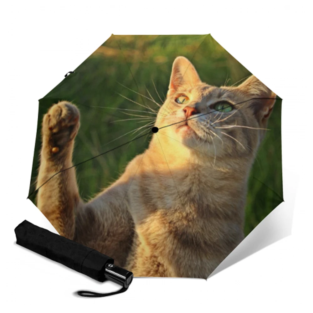 Креативный автоматический зонт с принтом котенка компактный складной защитой от