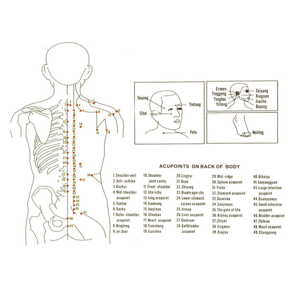 

1PCS Sumifun Vacuum Cupping Cup Silicone Cupping Jar Moisture Absorber Anti Cellulite Family Facial Body Massage Therapy C1234