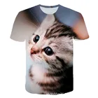 Милая одежда с рисунком молочного кота, с трехмерным принтом, с коротким рукавом, повседневная одежда в стиле Харадзюку, Роскошная Одежда с глубоким вырезом