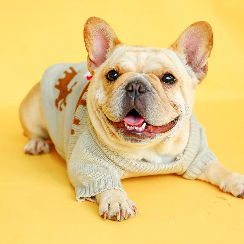 PETCIRCLE Одежда для собак свитер с лосем панель в форме французского бульдога корги