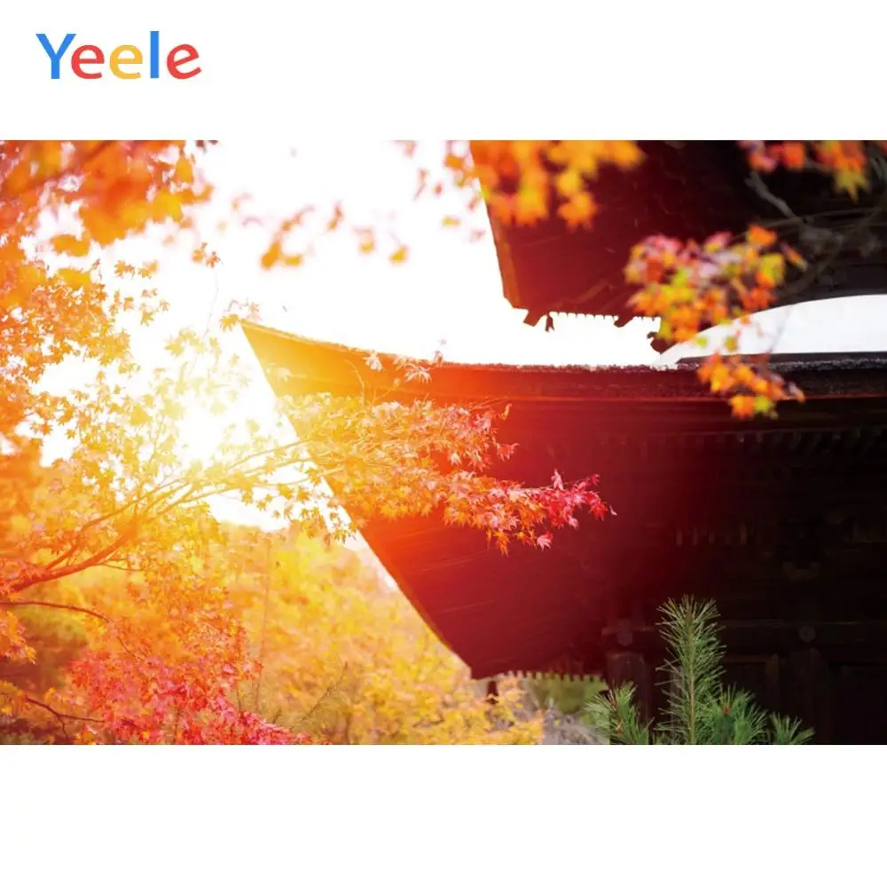 Yeele пейзаж портрет древний дворец солнце фон для фотосъемки на заказ