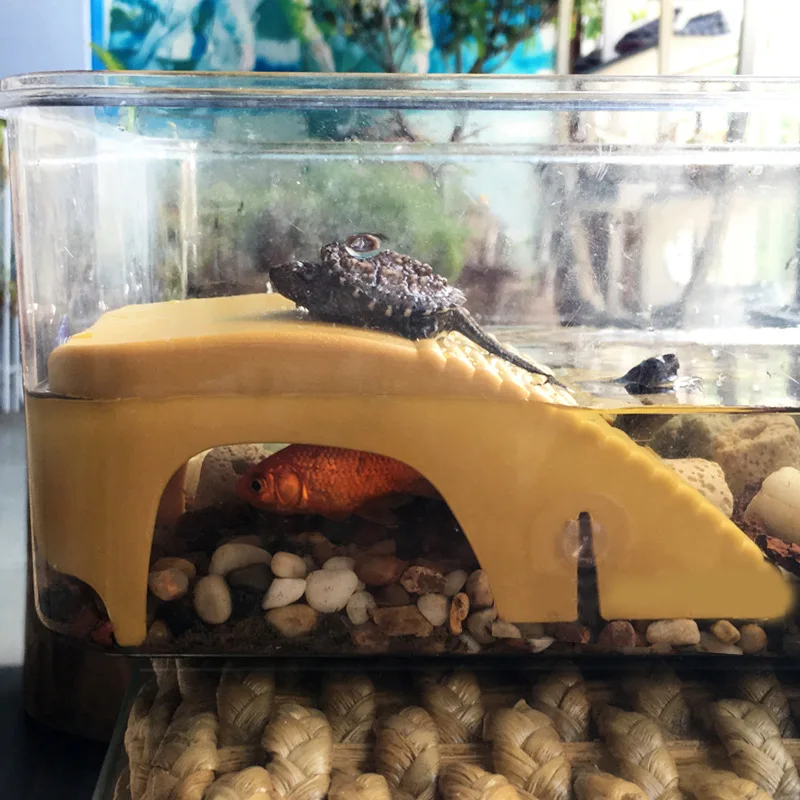 Аквариумная платформа для купания аквариумная черепаха амфибия альпинизм