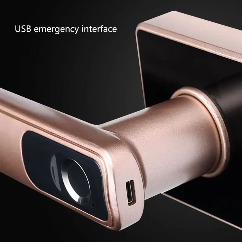 

1Set Smart Electronic Door Lock Intelligent Biometric Fingerprint Lock Safe Entry Tools for Home Office Security with Key