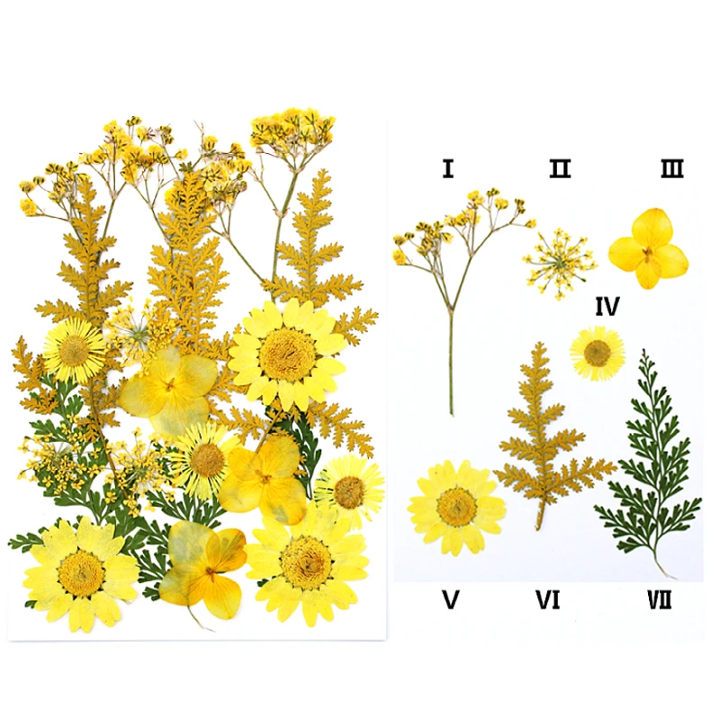 

20 piece pressed dried flower plant Pendant Necklace Jewelry Making Process DIY party accessories and manual bookmark materials