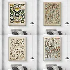 Винтажные плакаты с энциклопедией Адольфа миллота, принты с бабочками, цветами, насекомыми, картины на холсте, Настенная картина, домашний декор, Куадрос