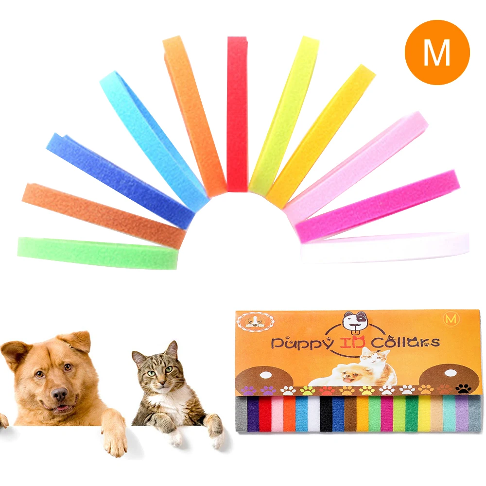 Идентификационный ошейник для домашних питомцев котят идентификационный милых