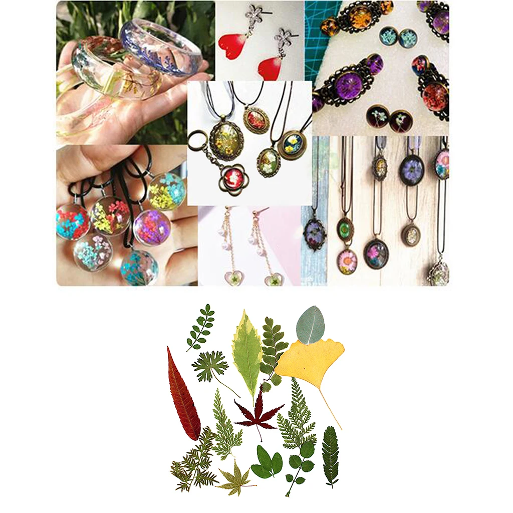 15 шт. натуральный прессованный высушенный цветок листья папоротника для DIY