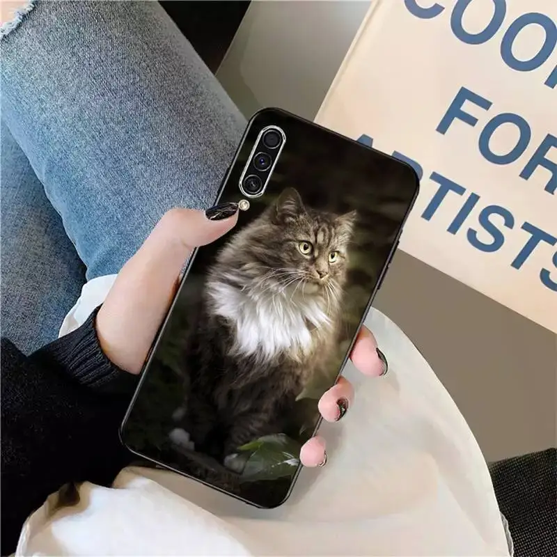 

pet maine coon cat cute animal Phone Case For Samsung galaxy A S note 10 7 8 9 20 30 31 40 50 51 70 71 21 s ultra plus