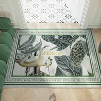 european design home doormat bedroom bath kitchen living room carpet pvc anti slip mat custom silk loop hallway entrance doormat