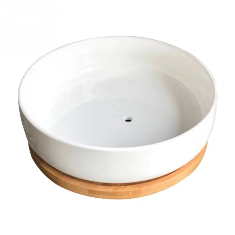 Керамический Настольный горшок для растений прочный белый офисный украшения