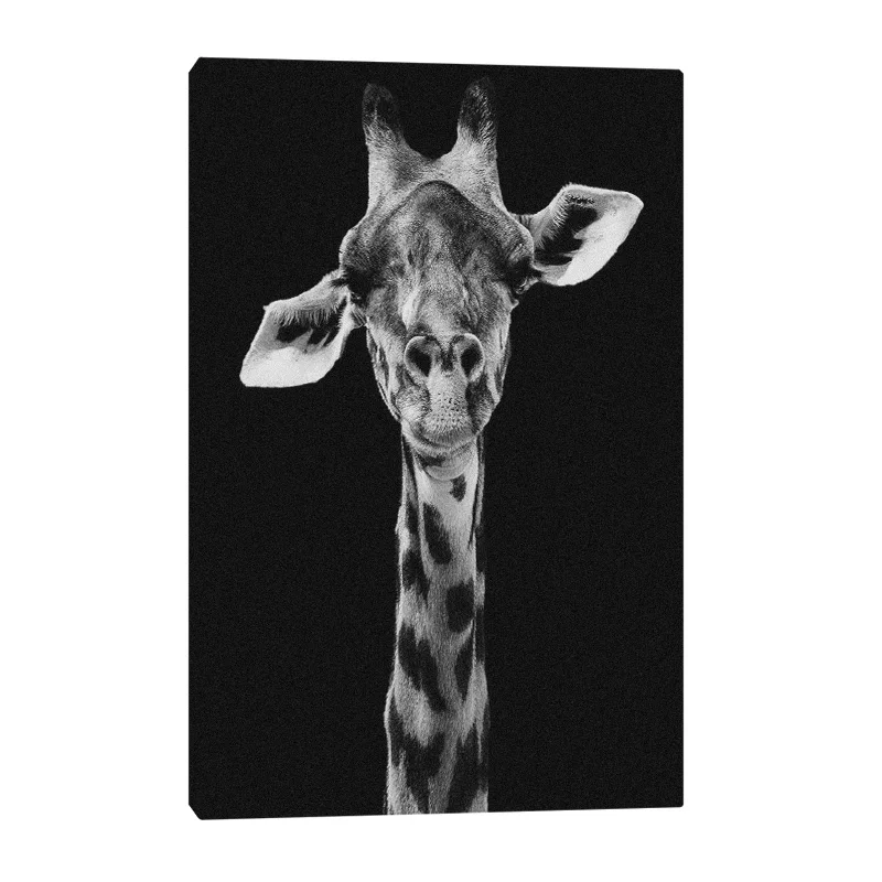 

Dark Giraffe Canvas Wall Art Decoration poster prints for living room Home bedroom decor Painting