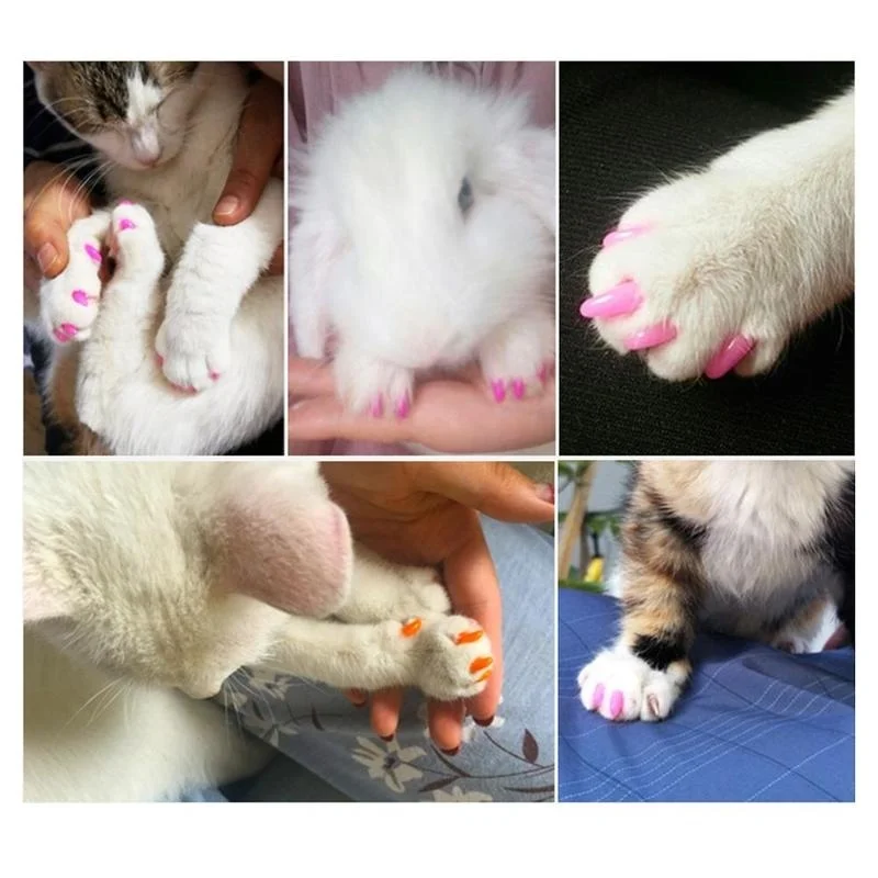 Милые 20 шт кошачьи накладки для ногтей Pet коготь колпачки лап клей защита