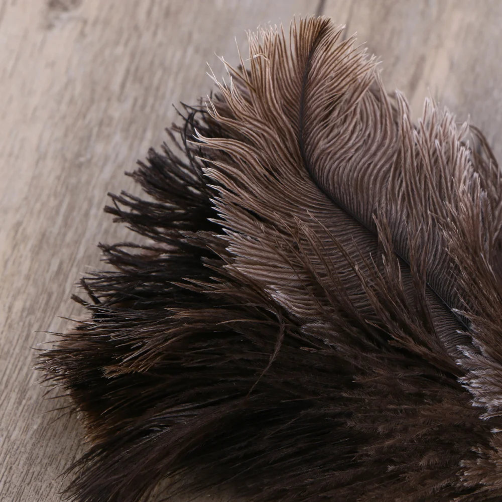 

Duster Feather Dusters with Long Handle Cleaning Brush Tool