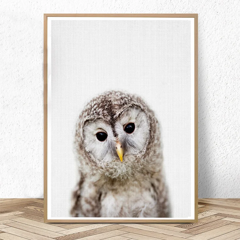 Художественный детский постер с изображением совы декор для детской стены каваи