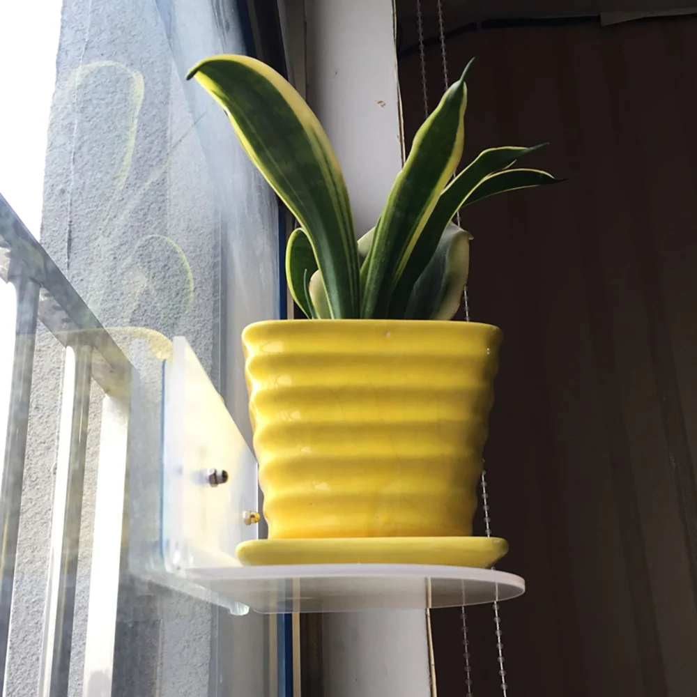 1 шт. Тип окна Дисплей стеллаж для выставки товаров в помещении садовое растение