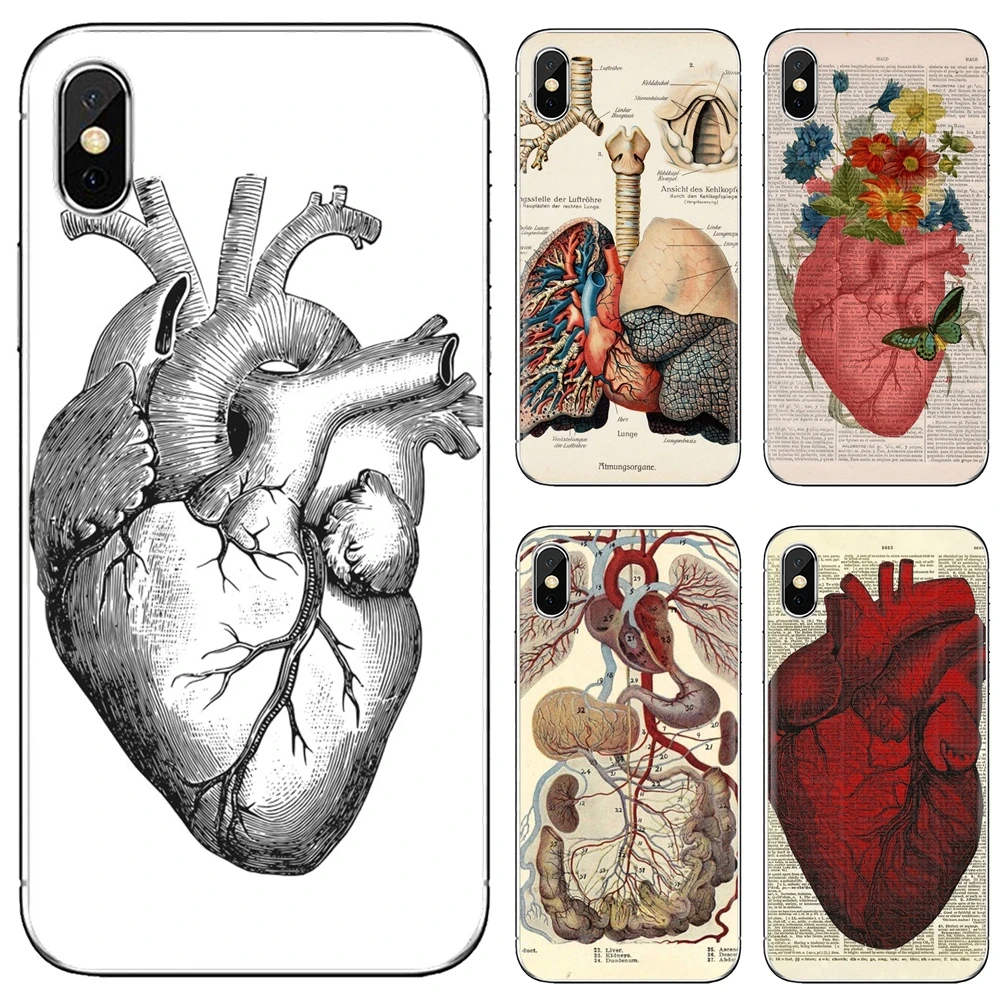 Медицинская анатомическая диаграмма сердца мягкий чехол для Huawei Y6 Y5 2019 Xiaomi Redmi Note