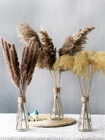 Композиция из сушеных цветов 40-55 см, натуральная пампасная трава и фрагмиты, букет растений для современного украшения дома