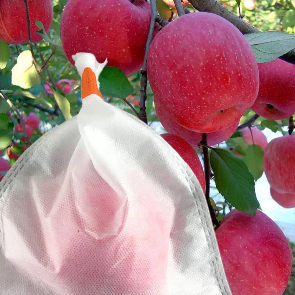 

100Pcs Grape Vegetable Anti-bird Protection from Insect Net Bags Garden Tool