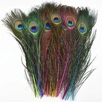 10pcslot natural dyed peacock feathers for crafts peacock decor 25 30cm peacock feather decor plumas carnaval plume decoration