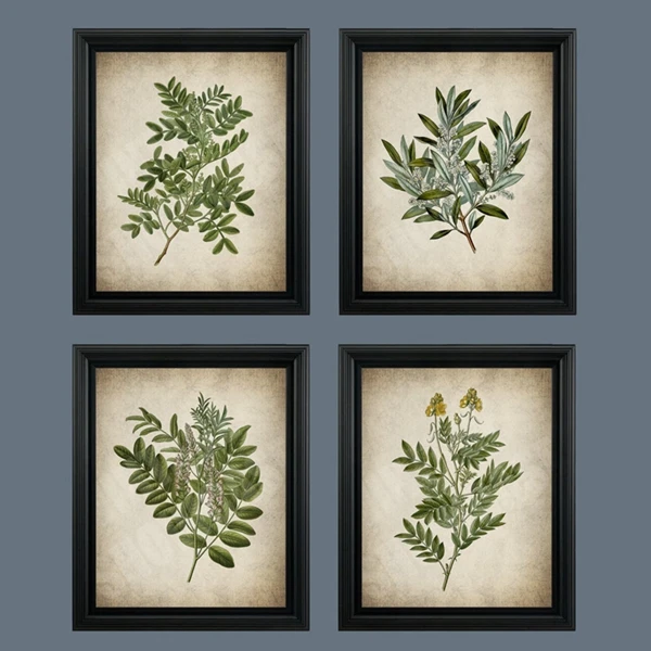 

Винтажный зелёный лист ботанический постер на холсте