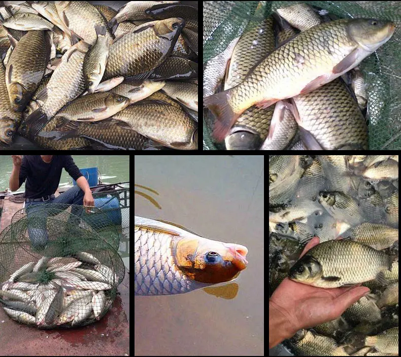 Rompin 100 искусственная приманка для карпа полые приманки рыболовная снасть речной