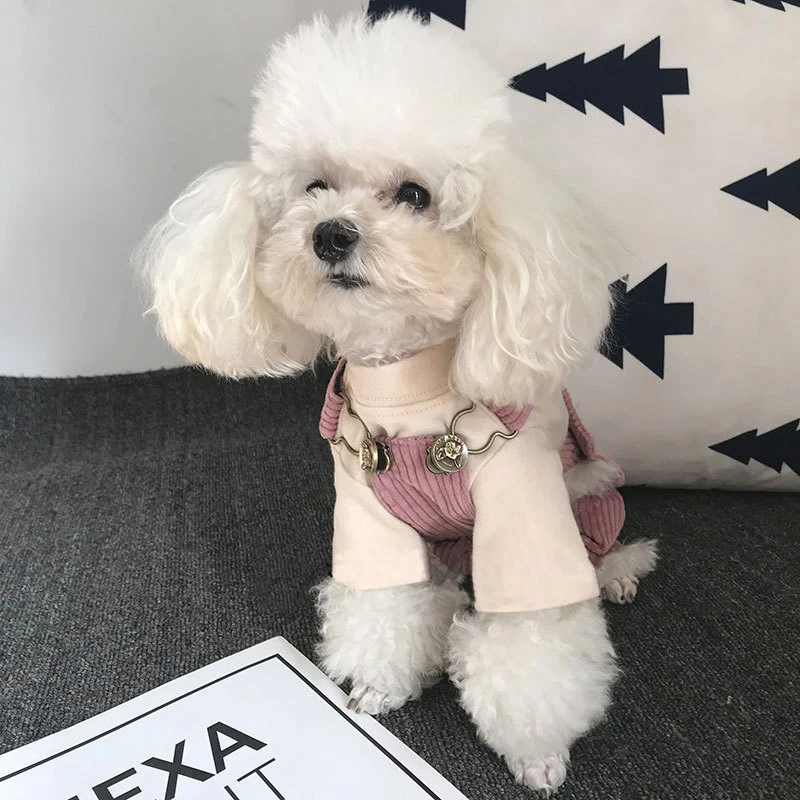 Хлопковый теплый комбинезон Чихуахуа йоркширского терьера одежда для маленьких