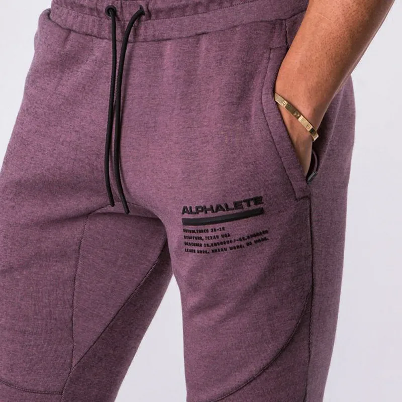 Бренд ALPHALETE осенне-зимние штаны для фитнеса мужские спортивные модные хлопковые