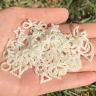 Бусины-в форме сердца, звезды для украшений сделай сам, плоские бусины 10 мм с плоским дном, имитация жемчуга, для художественного скрапбукинга, принадлежности для изготовления ювелирных изделий, 100 штук