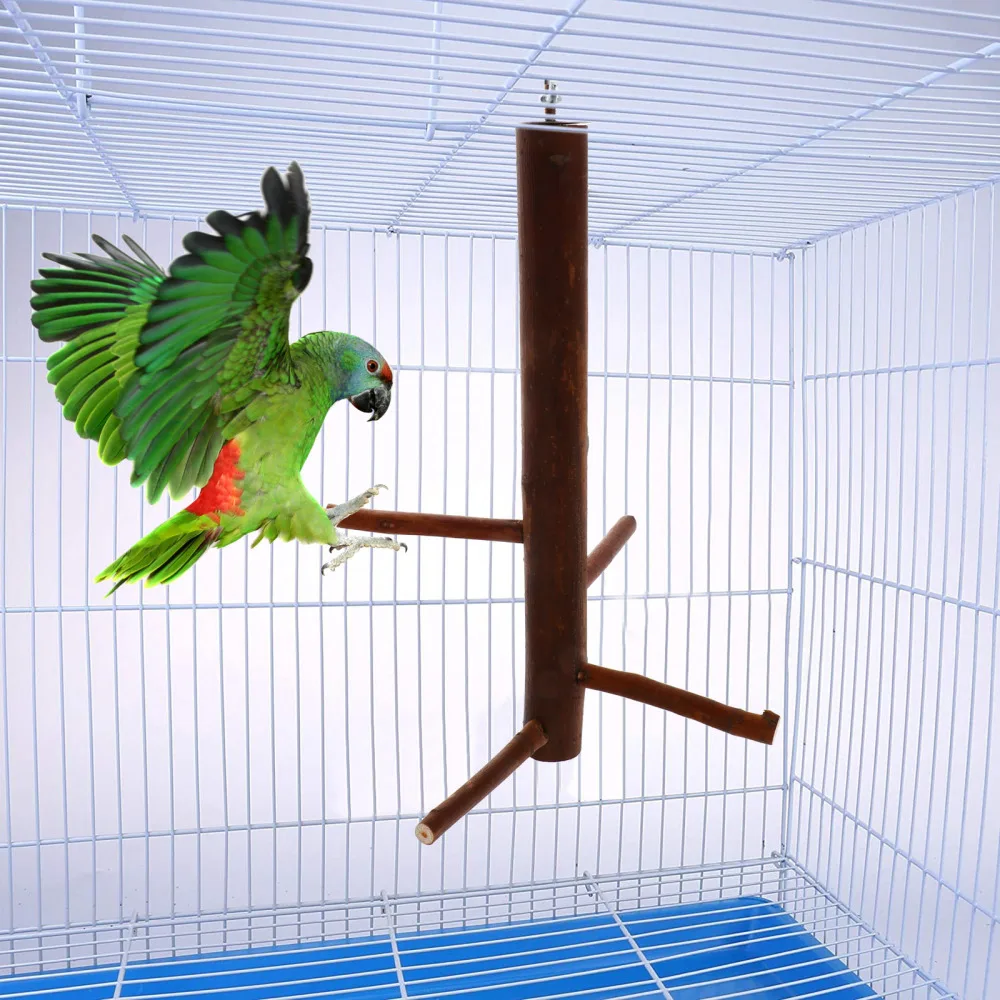 

Wooden Pole Bird Perch Parrot Standing Rod Exercise Climb Stick Branch