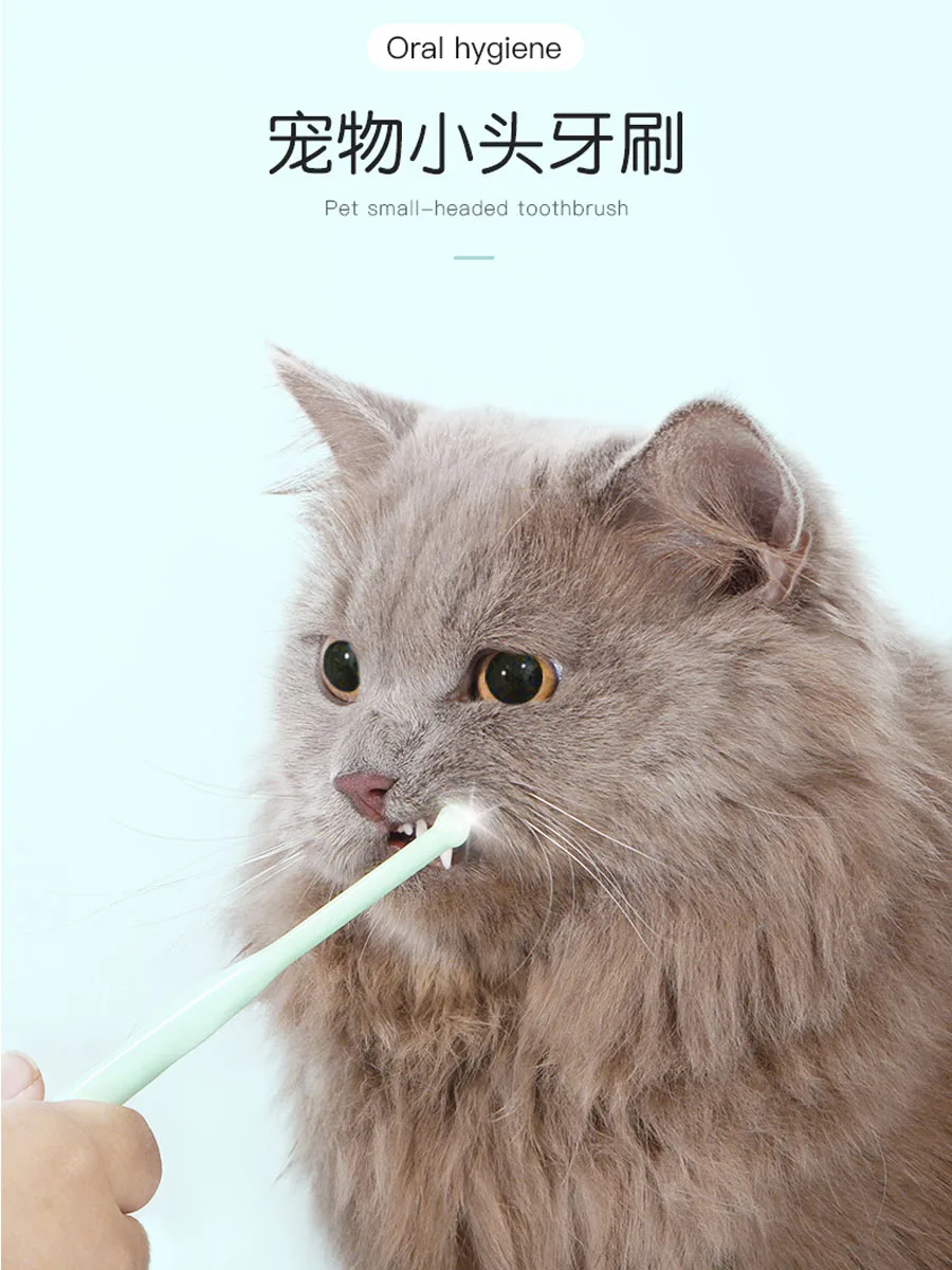 

Японская компактная фотоэлектрическая зубная щетка для животных