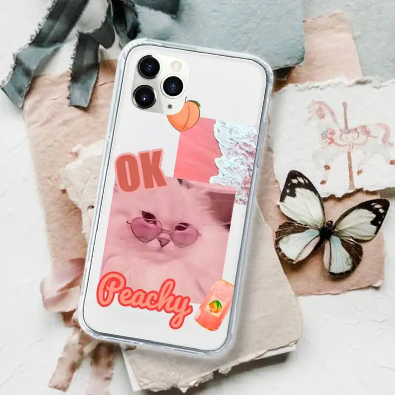 

Dinosaur cute cat astronaut Phone Case for iPhone 11 12 pro XS MAX 8 7 6 6S Plus X 5S SE 2020 XR